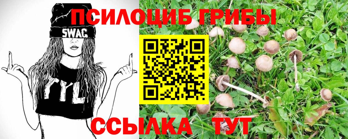 Галлюциногенные грибы Cubensis  Галлюциногенные грибы Psilocybe  Вход с VPN  Чита 