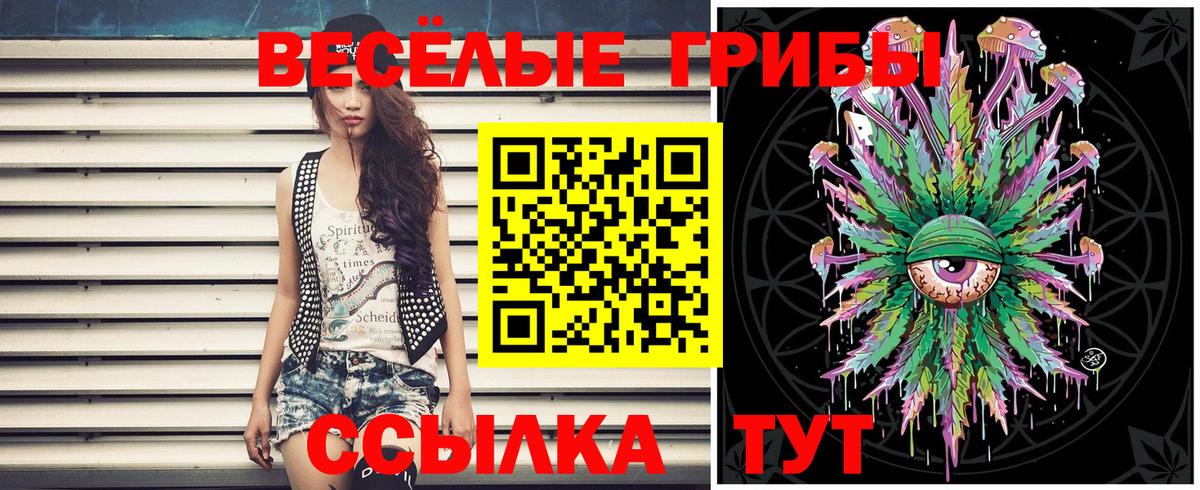 Галлюциногенные грибы Psilocybe Чита