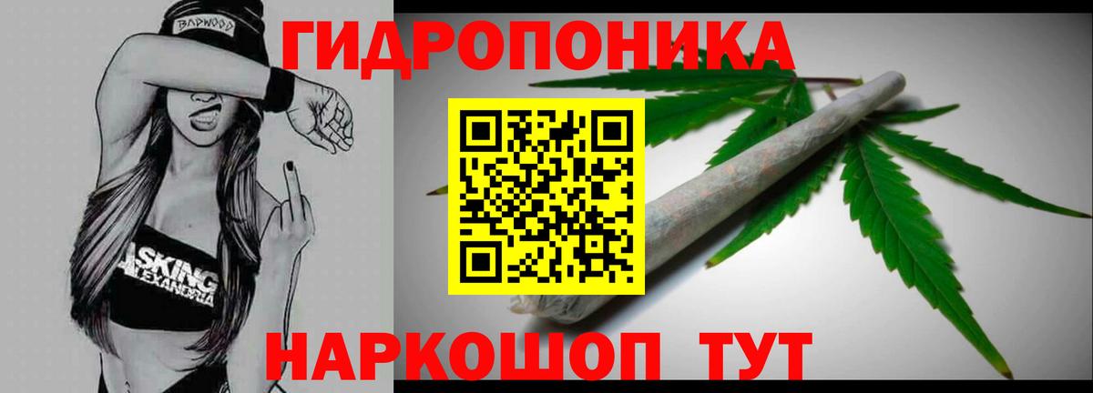 Конопля конопля  Вход с VPN  Бошки Шишки VHQ  Чита  Бошки марихуана Ganja 